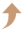 scroll to top